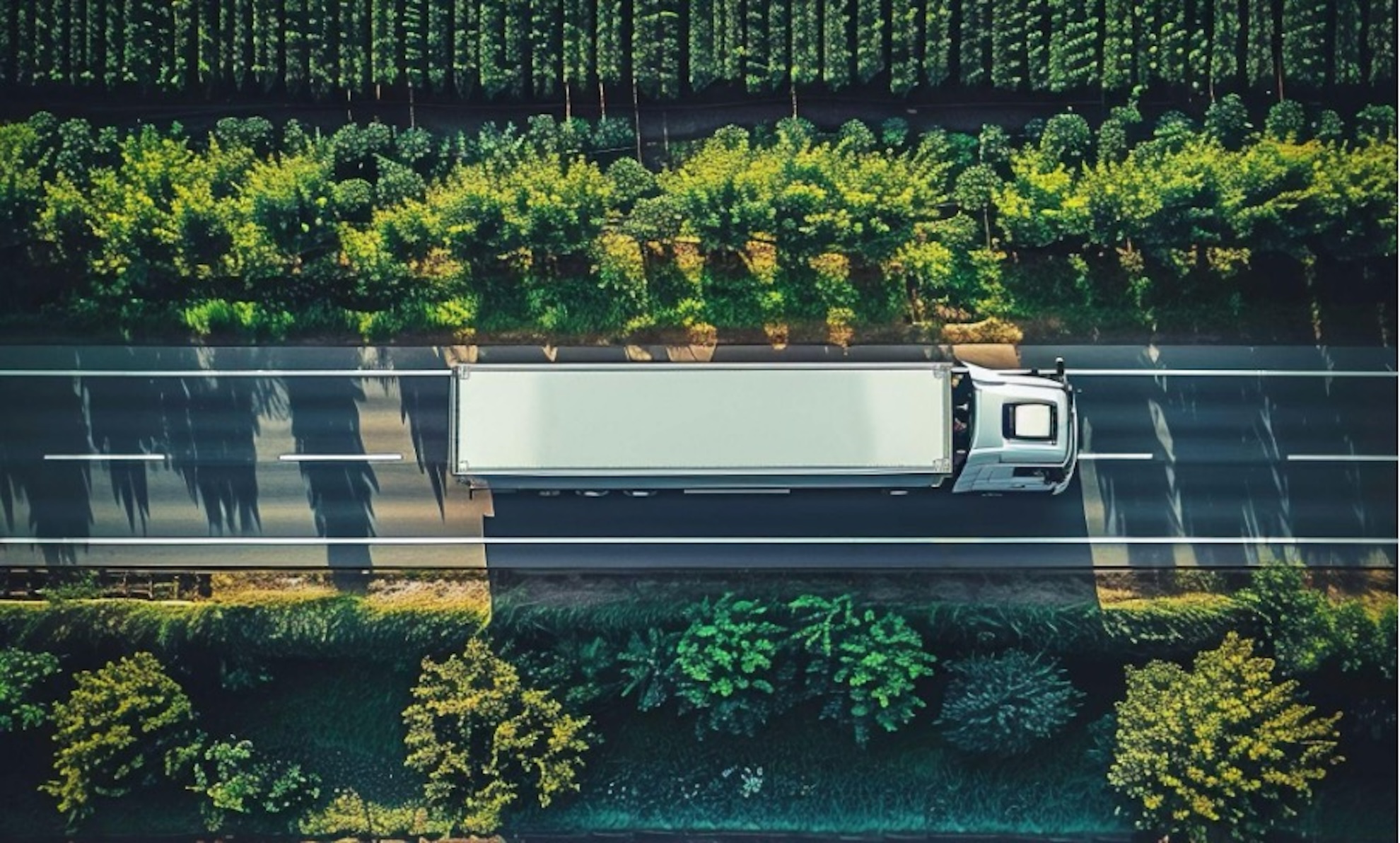 Além do asfalto: como ESG está transformando a logística 